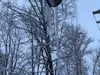 Lāstekas un sniegs uz jumtiem