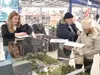Sociālā bezatbildība