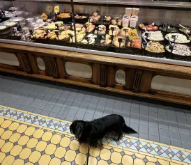 Lido veikalā Galerija Rīgā var paēst ar suni